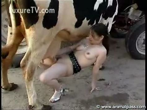 cow fucked by women porn pic