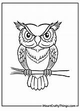Owls Wise Iheartcraftythings sketch template