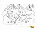 Krowy Kolorowanka Kolorowanki Zwierzęta Dzieci Malowanka Miastodzieci sketch template