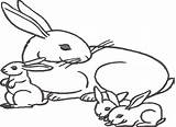 Embroidery Designs Line Coloring Bunny Red Wingsicalwhims sketch template