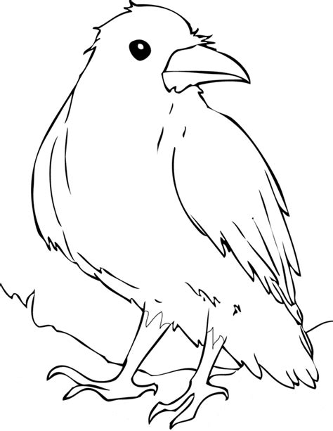 raven coloring page animals town animals color sheet raven