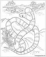 Coloring Pages Desert Snake Year Chinese Kids Snakes Cute Printable Activity Color Habitat Print Getcolorings Getdrawings sketch template