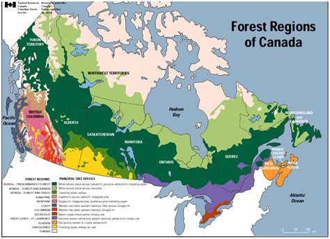 natural resource map  canada