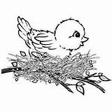 Coloring Bird Nest Pages Printable Kids Vogel Freeprintablecoloringpages Birds sketch template