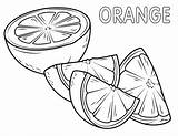 Oranges sketch template