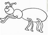 Ant Coloringhome Asd2 sketch template