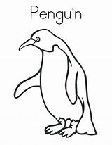 Coloring Pages Penguin Little Blue Template sketch template