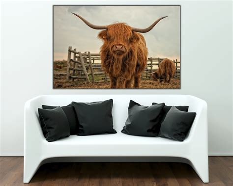 highland  wall art highland  canvas wall art canvas etsy