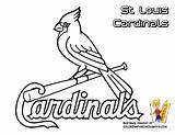 Cardinals Softball Yescoloring Gateway Stl Cubs Neo Cardinal sketch template