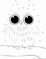 Owl Babies Dot Printable Worksheet Worksheets Baby Dots Connect Coloring Pages Kids Source sketch template