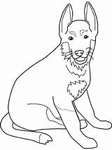 Coloring Pages Collie Color Getcolorings sketch template