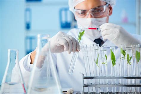 das biotechnologiekonzept mit wissenschaftler im labor stockfoto bild