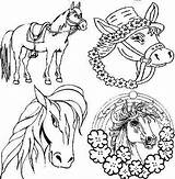 Pferde Tippen Doppelt sketch template
