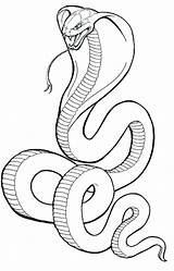 Cobra Coloring Pages Snake Drawing Spitting Line King Tattoo Getcolorings Body Snakes Playhouse Kids Visit Flickr sketch template
