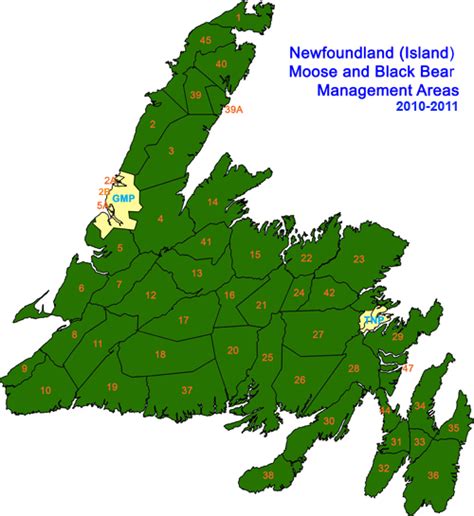 newfoundland big game management areas moose black bear fisheries forestry  agriculture