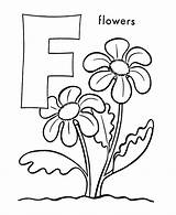 Flower Preschool Popular Bulkcolor sketch template