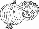 Onion Coloring Pages Drawing Kids Onions Vegetable Vegetables Coloringbay Carrots Getdrawings Broccoli Popular Pumpkins Pepper sketch template