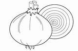 Coloring Pages Onion Fruits Lettuce Vegetable sketch template