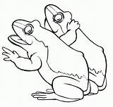 Mewarnai Katak Frogs Grenouille Colorat Frosch Rane Broaste Planse Broscute Doua Sfatulmamicilor Coloriages Popular Fac Oac sketch template