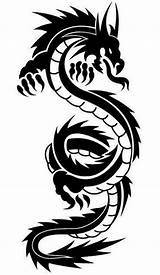 Tribales Dragones Tatoo Dragão Drachen Dragao Decalmywall Desenhos Dragons Anjos Stencils Cập Truy Marquesan Yotattoo sketch template