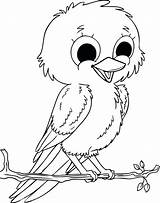 Robin Coloring Pages Bird Cute Kids sketch template