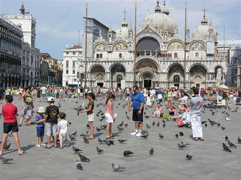 Tourism Piazza San Marco Venice Stock Image P910