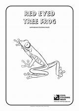 Red Coloring Frog Eyed Tree Pages Cool Amphibians Kids Print sketch template