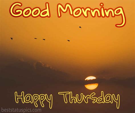 good morning happy thursday images wishes quotes  status pics
