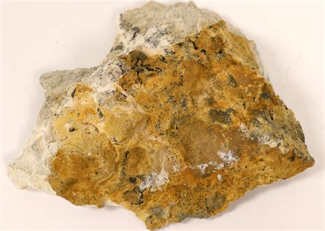 high grade silver gold ore goldfield nevada