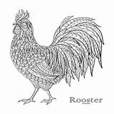 Rooster Zentangle Antistress sketch template