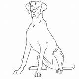 Dane Great Coloring Pages Dog Line Clipart Drawings Kennels Template Deviantart Lps Library Sketch Popular Lineart Coloringhome sketch template