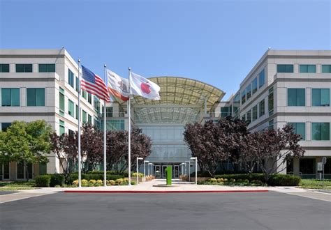 top       cupertino