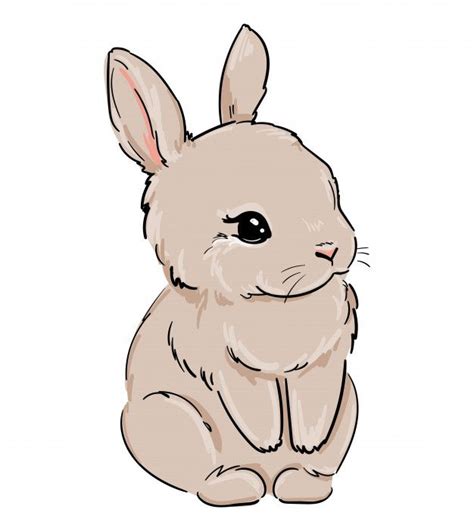 premium vector rabbit hand drawn cute bunny illustration cute