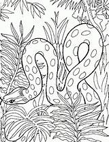 Snake Kleurplaat Snakes Slang Letscolorit Serpent Coloriage Kleurplaten sketch template