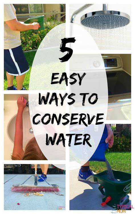 ways  conserve water  typical mom