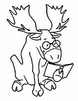 Moose Coloring Pages Cute Getcolorings Printable sketch template