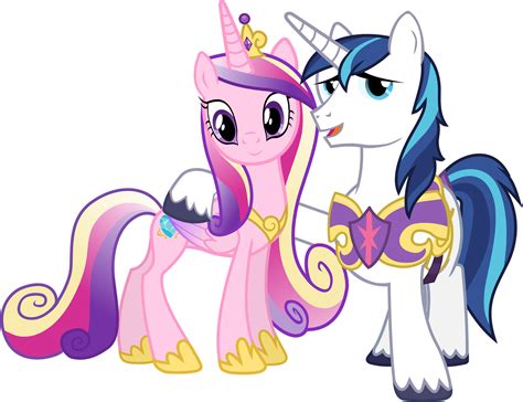 discussion  shining armor  cadance   kid