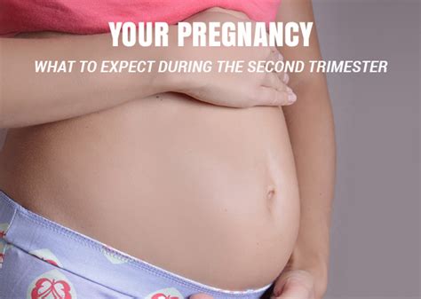 Your Pregnancy What To Expect During The Second Trimester