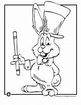 Magic Coloring Rabbit Pages Bunny Activities Kids sketch template