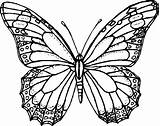 Farfalle Falter Farfalla Verzierung Papillons Tiere Pittura Rengarenk Cartoni Mandala Ausmalbild Sagome Cartonidacolorare Coloriage Suivant sketch template