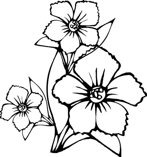 tropical flower drawings clipartsco