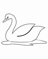 Swan Coloring Pages Beautiful Girls sketch template