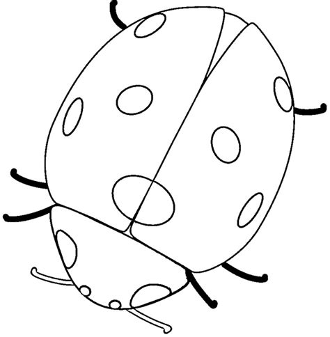 Ladybug Outline Photos Of Template Of Ladybug Free Printable Clip Art