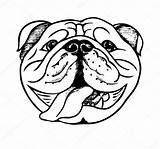 Inglese Bulldogs Fronte Engels Disegnato Zentangle Illustrazione Template Cucciolo Coloritura Testa Vectorified sketch template
