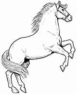 Horse Coloring Pages Horses Rearing Drawing Color Drawings Print Printable Clipart Stallion Colouring Stallions Awesome Sheets Ikids Basic Getcolorings Male sketch template