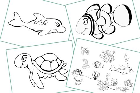 colouring sea animals early years eyfs printable resource