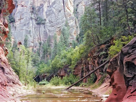slot canyons of the american southwest west fork of oak creek near