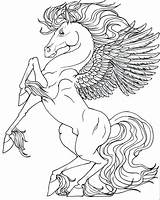 Unicorn Coloring Pages Wings Getdrawings sketch template