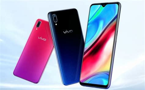 vivo