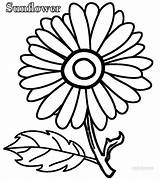 Sunflower Coloring Pages Simple Printable Cool2bkids Kids sketch template